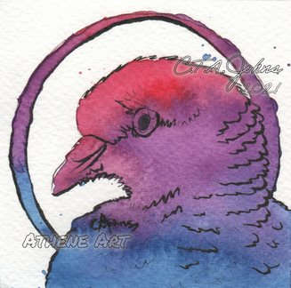 Pride Pigeon | 2021