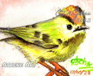 Goldcrest | 2023