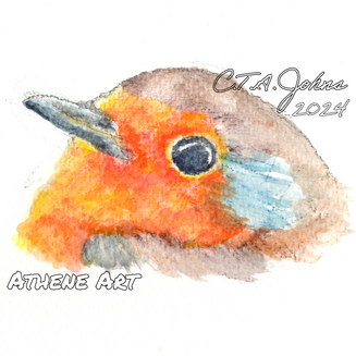 Robin | 2024