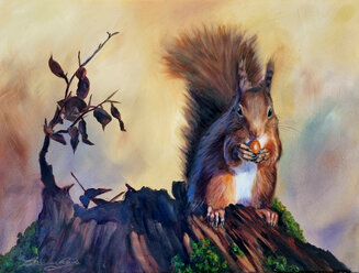 Red Squirrel