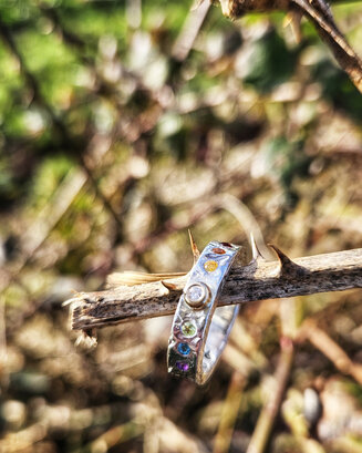 Chakra Ring in sterling silver, 9ct yellow gold and gemstones.