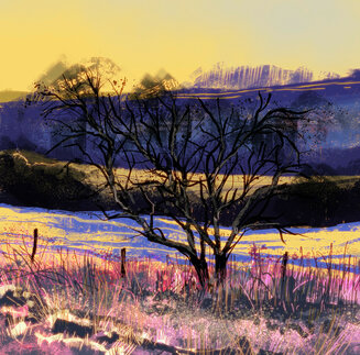 Early Morning Frost