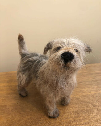Terrier