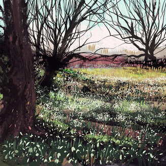 Drifts of Snowdrops