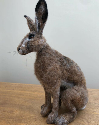 Hare