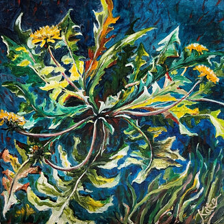 Dandelion