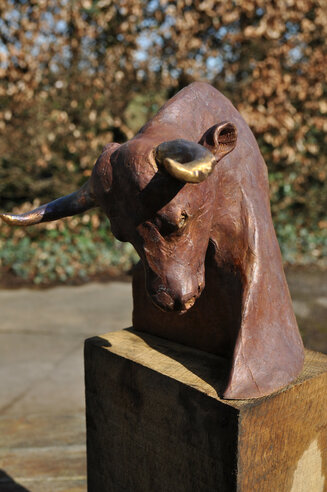 RagingBull