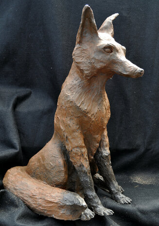 Reynard