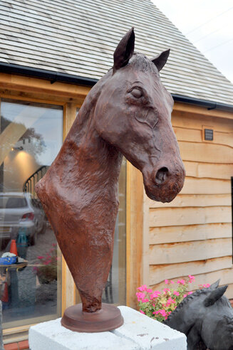 Bucephalus