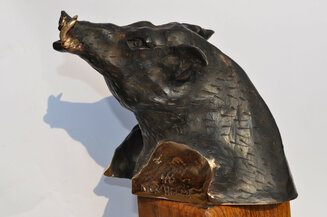wild Boar