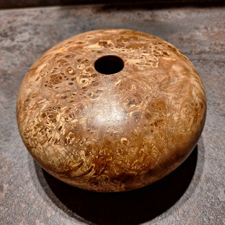 Elm Enclosed Pot