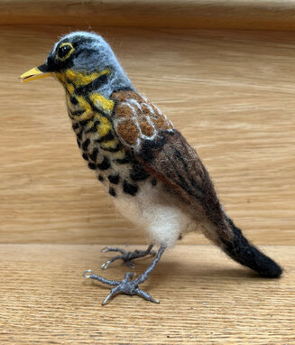 Fieldfare