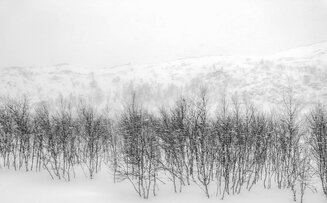 Snowstorm, Finnmark