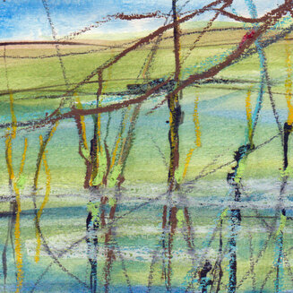 flooded field
