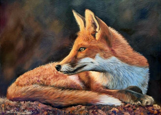 Fox in sunlight