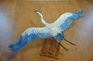 Great Blue