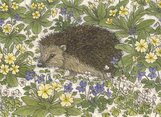 Hedgehog and Primroses by Jennifer Chance