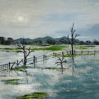 Lesley Brankin