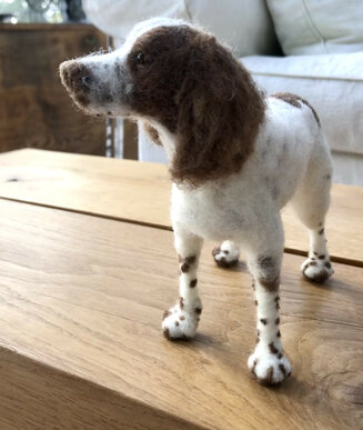 Springer Spaniel