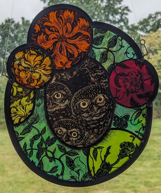 Little owl