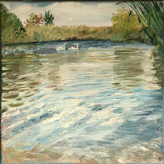 Wye with swan
