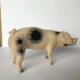 Gloucester Old Spot Pig