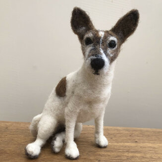 Elderly Jack Russell Terrier