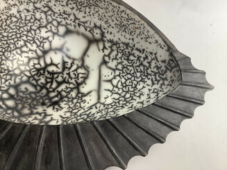 Egg Shell