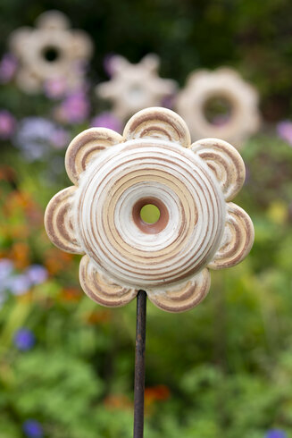 Doughnut Flower