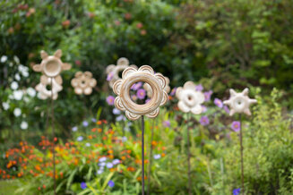 Doughnut Flower
