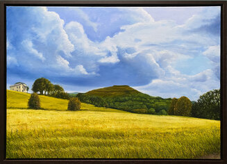 Light on Summer Barley, Malvern Hills