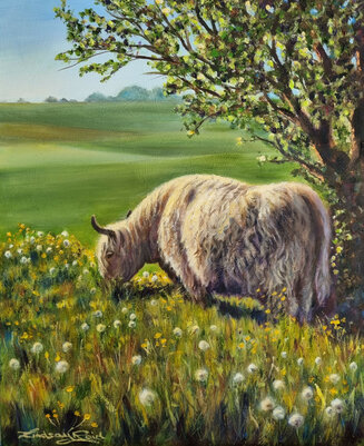 Munching on Minchinhampton Common