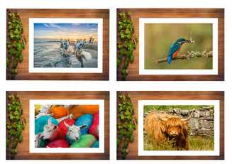 Prints