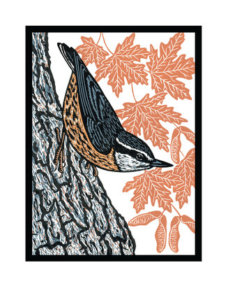 Nuthatch - Multi block Linocut