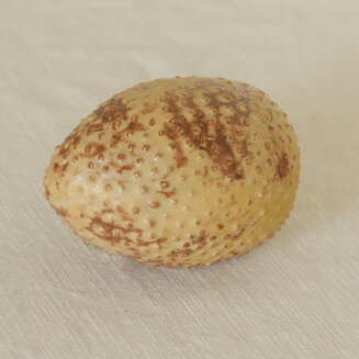 Pollen 2