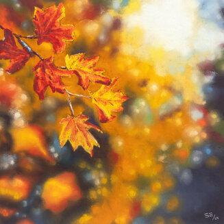 Autumn Leaves with Bokeh