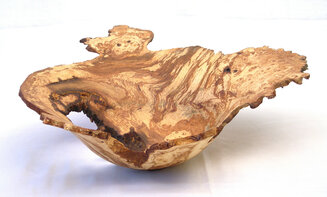 Spalted Oak Burr