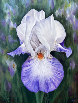 Sunlit Purple Iris