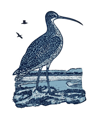 The Curlew - Multi-Block Linocut