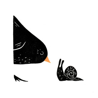 The Stand Off