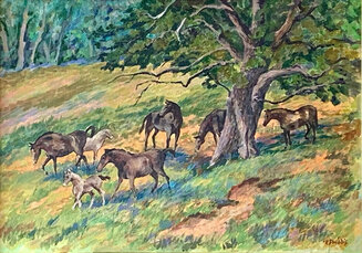 Trakehner Horses, How Caple