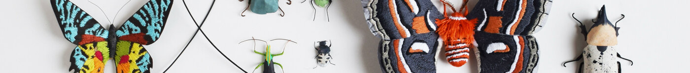 paper insects