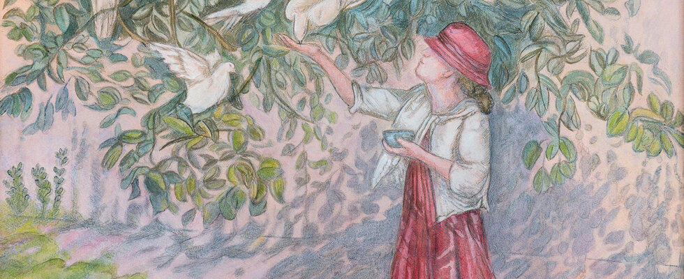 Feeding the Doves