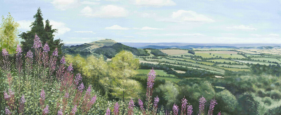 The Hills in summer