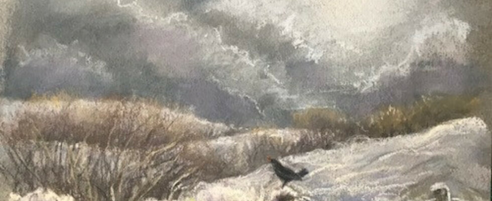 Blackbird singing