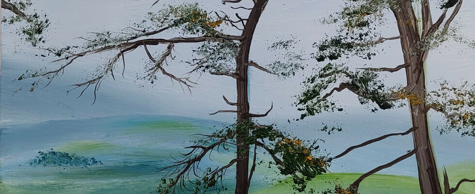 Scots Pines on Offa's Dyke