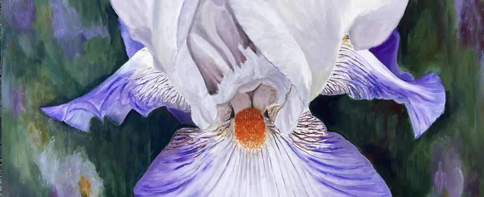 Sunlit Purple Iris