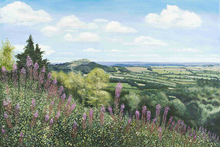The Hills in summer